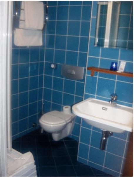 Panzio Sissi Hotel Godollo Luaran gambar